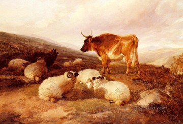  Cooper Pintura - Carneros y un toro en un paisaje montañoso animales de granja ganado Thomas Sidney Cooper